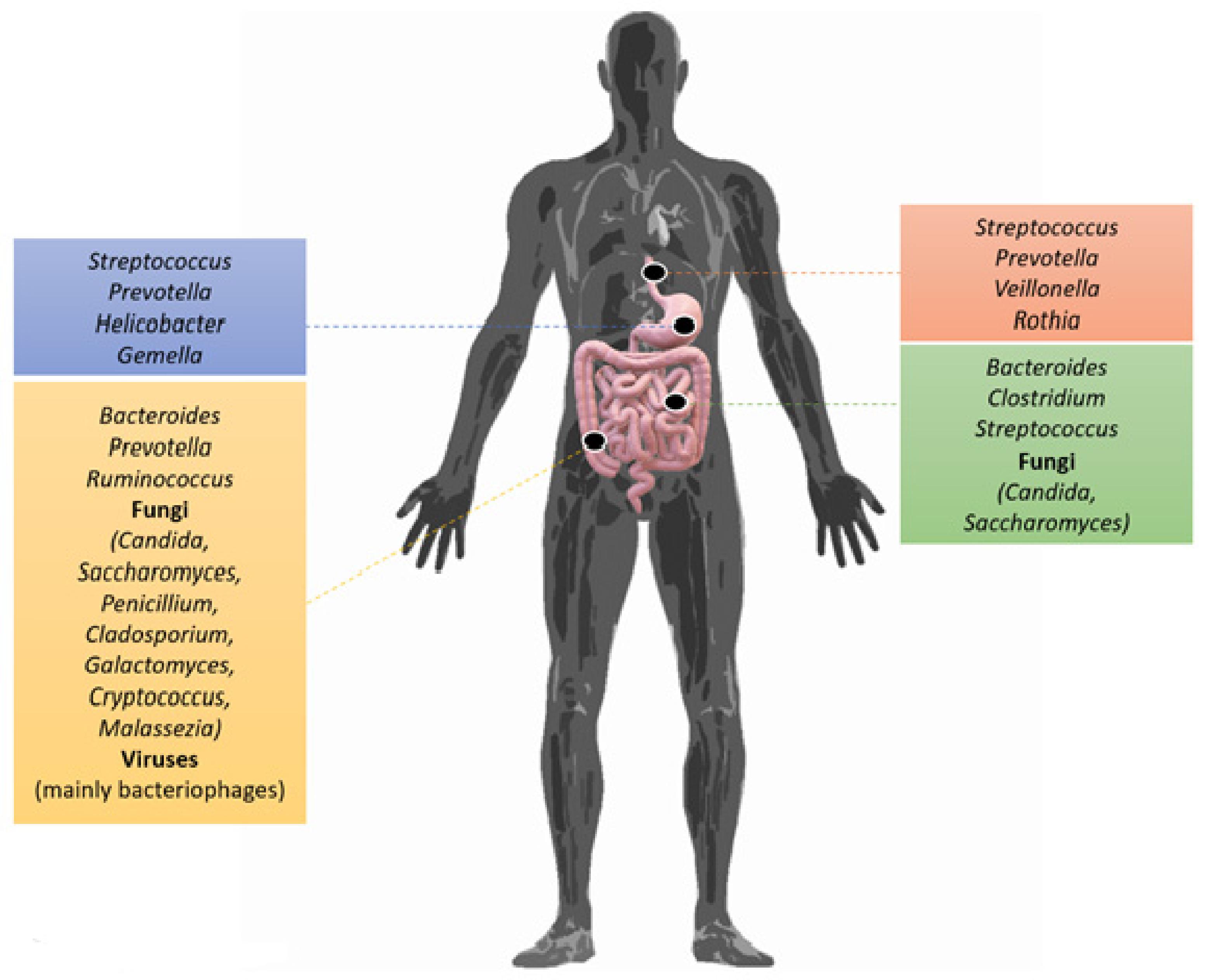 Pathophysiology | Free Full-Text | Biomolecular Mechanisms of ...