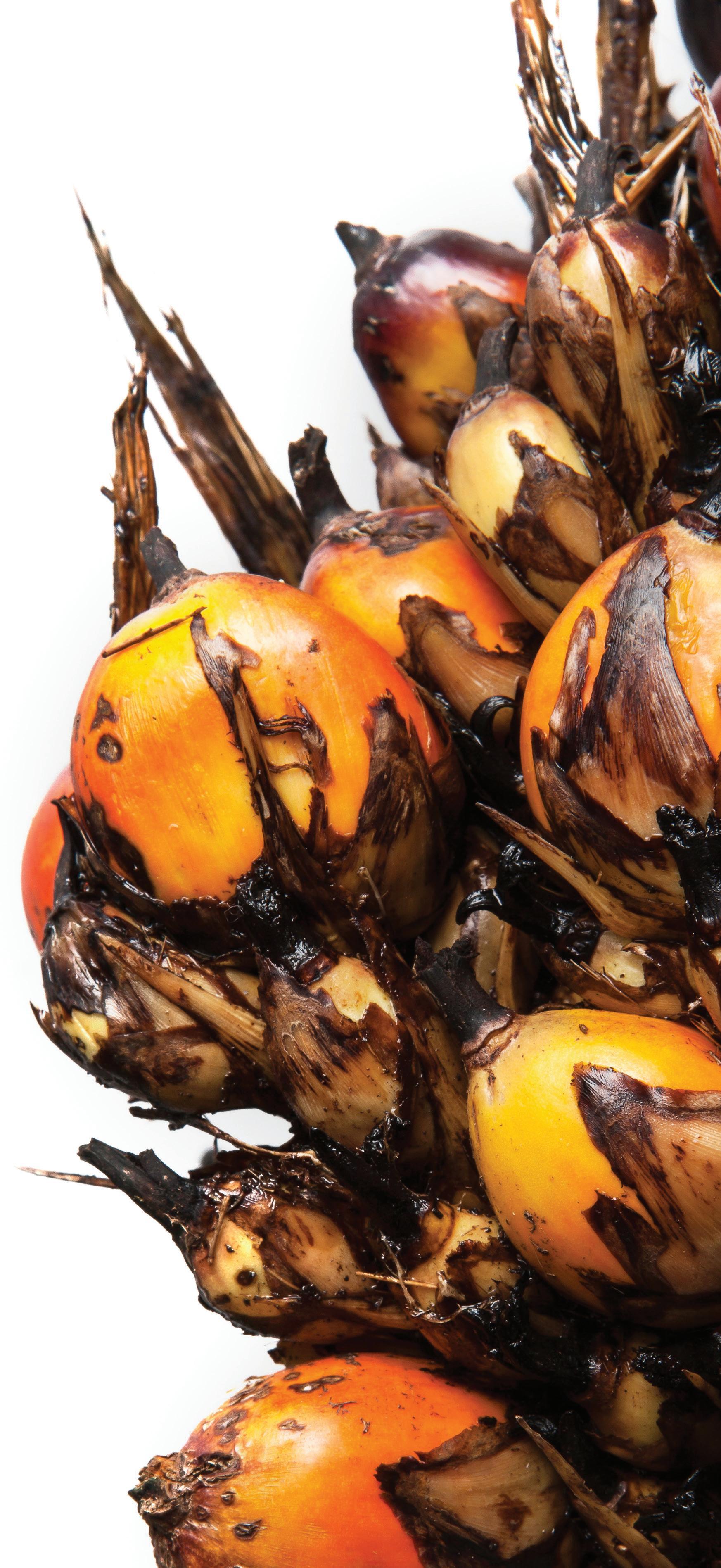 OFI September.October 2023 by Quartz Business Media - Issuu