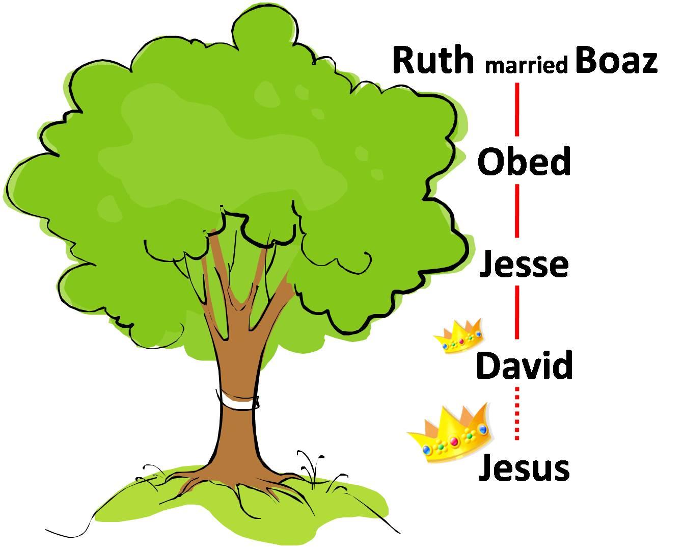 What is that in the <b>Family Tree</b>? (Ruth 4:1-12) | Seriously