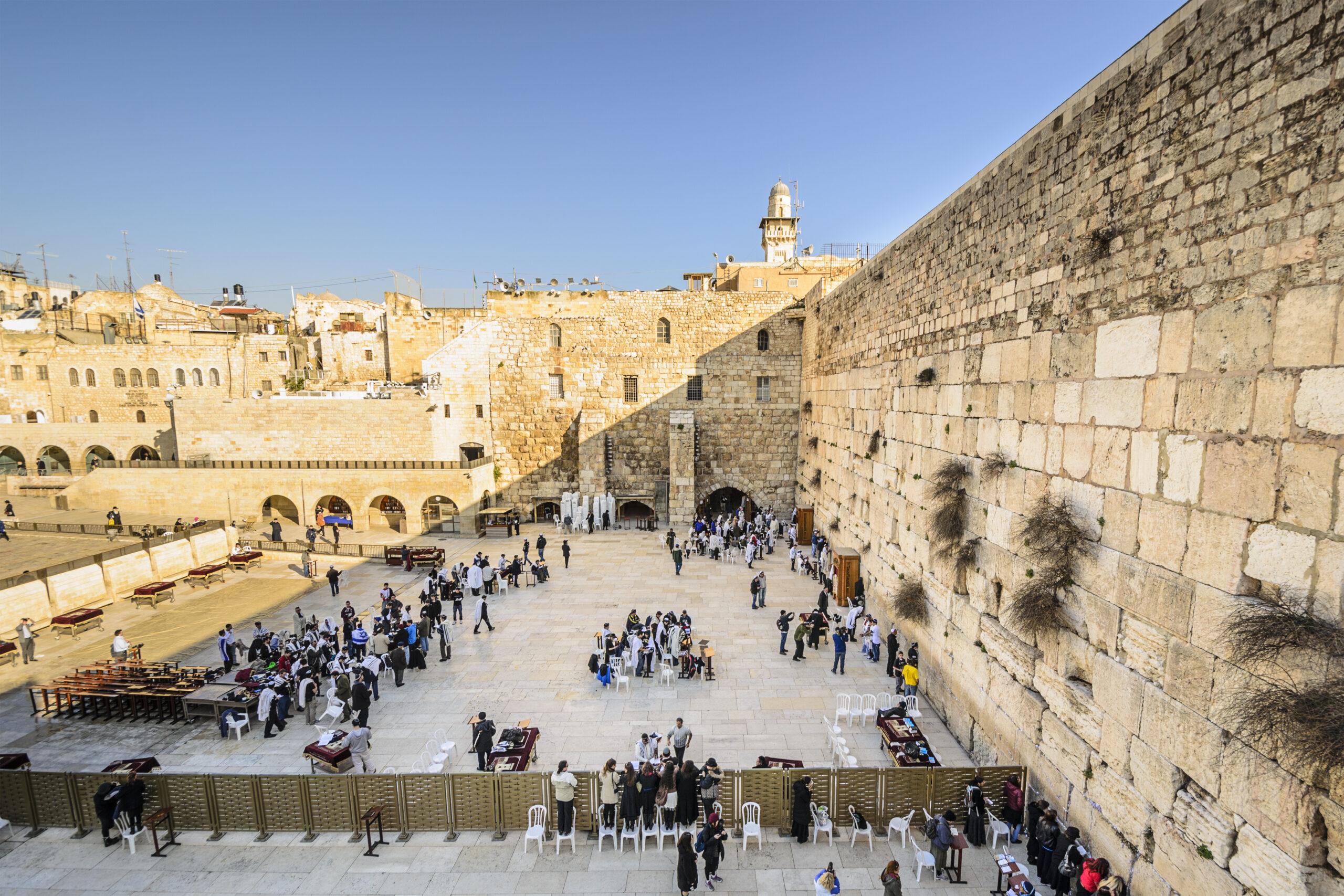 Rejoicing as <b>Family</b> - Pluralism during the Holidays - Young Judaea